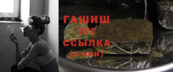 стаф Арсеньев