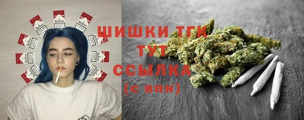 стаф Арсеньев